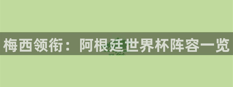 欧洲区世界杯预选赛:梅西领衔:阿根廷世界杯阵容一览