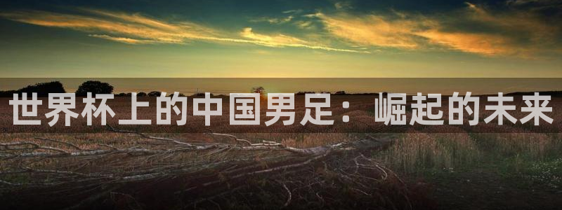 足球世界杯时间:世界杯上的中国男足:崛起的未来