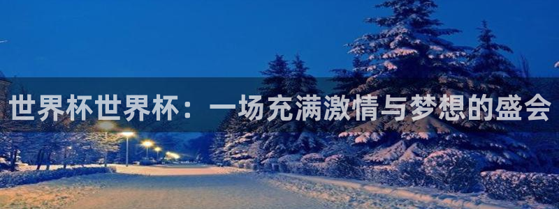 2026年世界杯赛程表时间：世界杯世界杯：一场充满激情与梦想的盛会