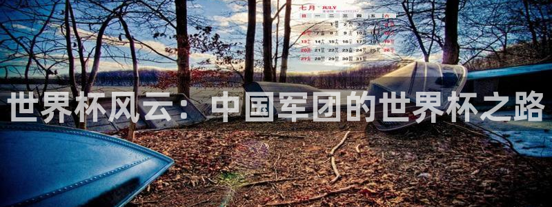 世界杯直播：世界杯风云：中国军团的世界杯之路