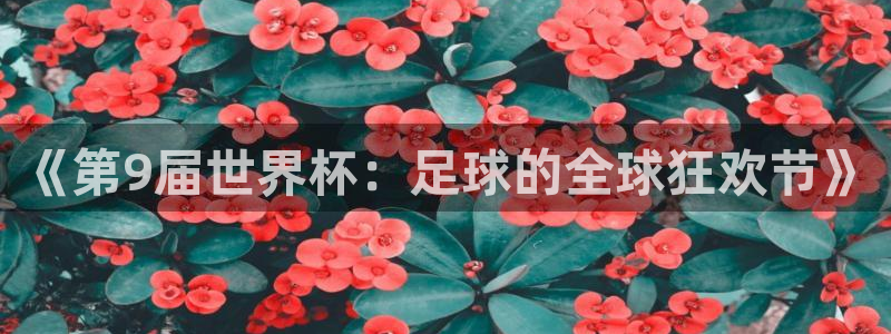 世界杯预选赛:《第9届世界杯:足球的全球狂欢节》
