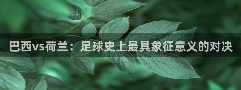 世界杯足球赛：巴西vs荷兰：足球史上最具象征意义的对决