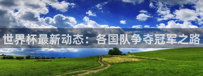 世界杯球队：世界杯最新动态：各国队争夺冠军之路