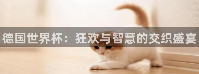 世界杯球赛：德国世界杯：狂欢与智慧的交织盛宴