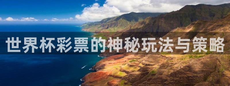 欧洲世界杯预选赛：世界杯彩票的神秘玩法与策略