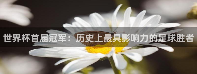 2026年世界杯：世界杯首届冠军：历史上最具影响力的足球胜者