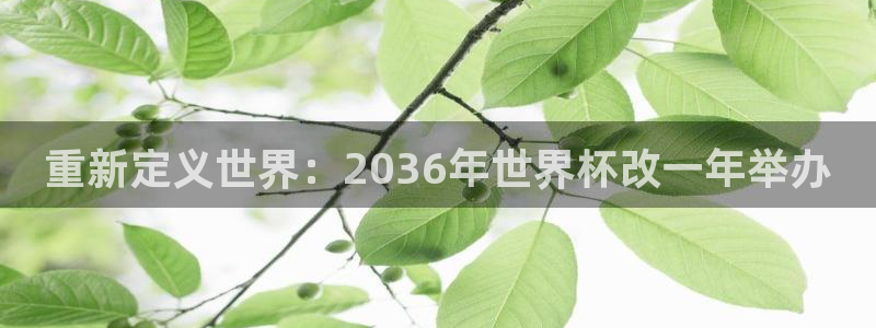世界杯欧洲区预选赛赛程：重新定义世界：2036年世界杯改一年举办
