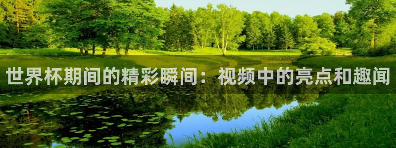 女足世界杯赛程：世界杯期间的精彩瞬间：视频中的亮点和趣闻