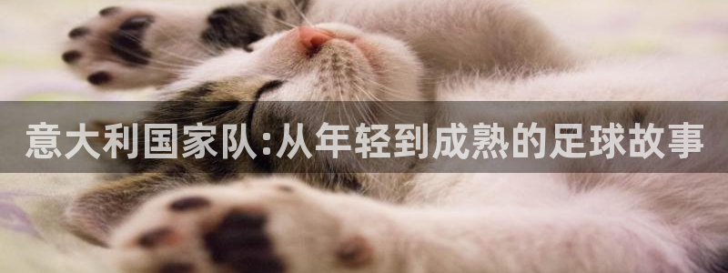 世界杯亚洲预选赛18强赛程：意大利国家队:从年轻到成熟的足球故事