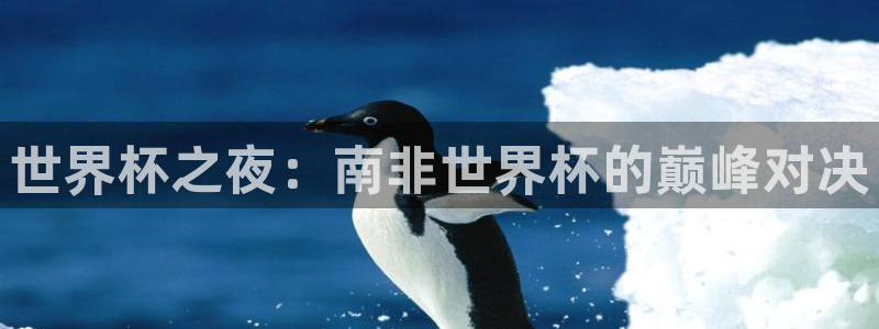 世界杯足球：世界杯之夜：南非世界杯的巅峰对决